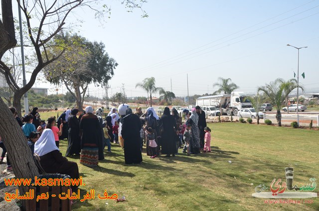 فيديو: صف الفراشات يطير كالفراشات في احضان منتزه عبد الكريم قاسم 